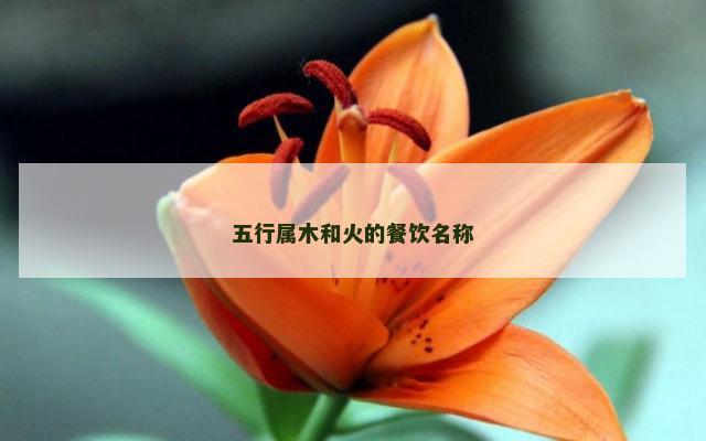 五行属木和火的餐饮名称