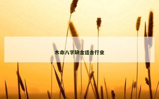木命八字缺金适合行业