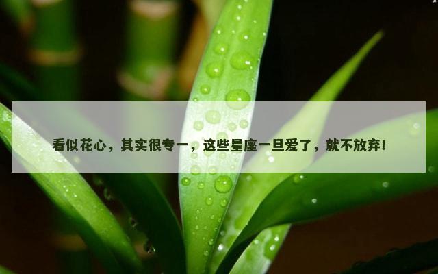 看似花心，其实很专一，这些星座一旦爱了，就不放弃！