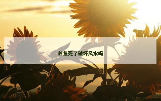养鱼死了破坏风水吗