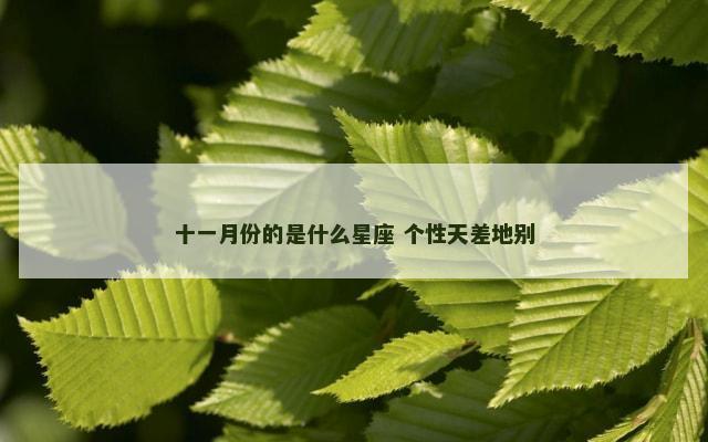 十一月份的是什么星座 个性天差地别