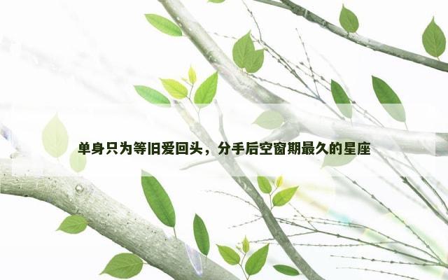 单身只为等旧爱回头，分手后空窗期最久的星座