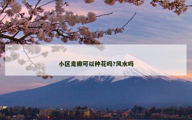 小区走廊可以种花吗?风水吗