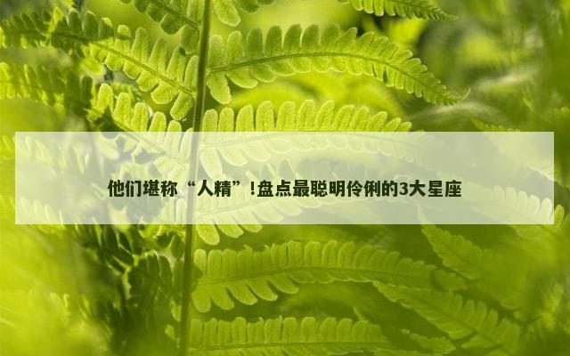 他们堪称“人精”!盘点最聪明伶俐的3大星座