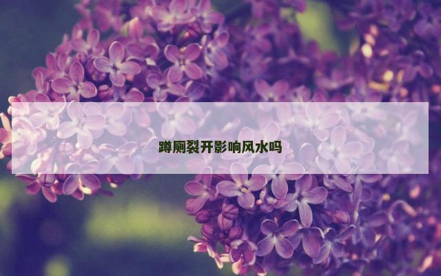 蹲厕裂开影响风水吗