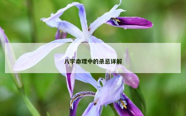 八字命理中的杀忌详解