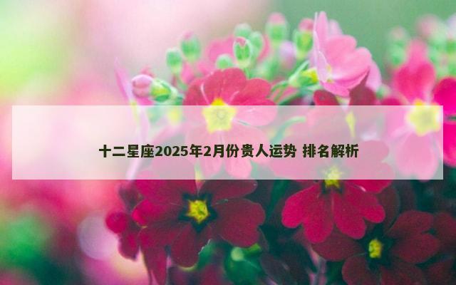 十二星座2025年2月份贵人运势 排名解析
