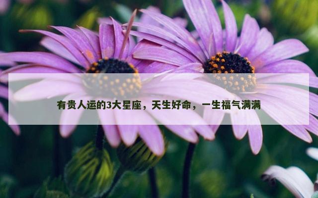 有贵人运的3大星座，天生好命，一生福气满满