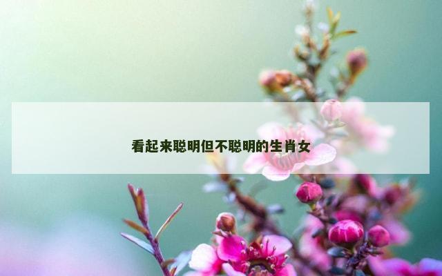 看起来聪明但不聪明的生肖女