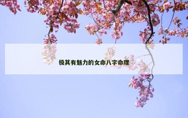 极其有魅力的女命八字命理
