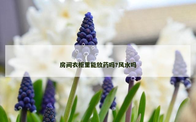 房间衣柜里能放药吗?风水吗