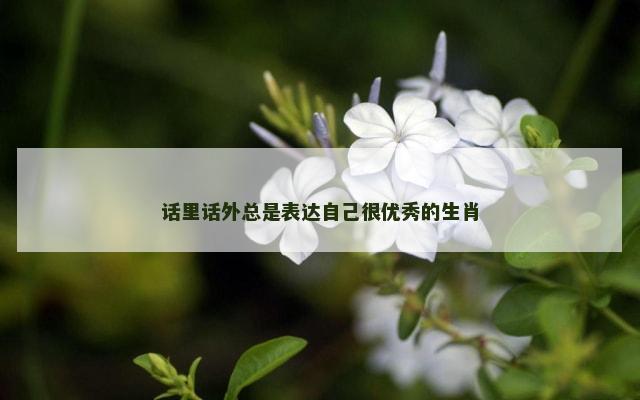 话里话外总是表达自己很优秀的生肖