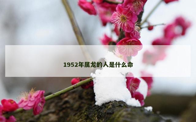 1952年属龙的人是什么命