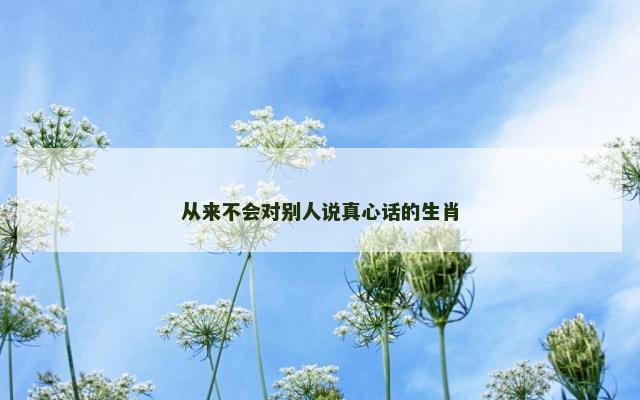 从来不会对别人说真心话的生肖