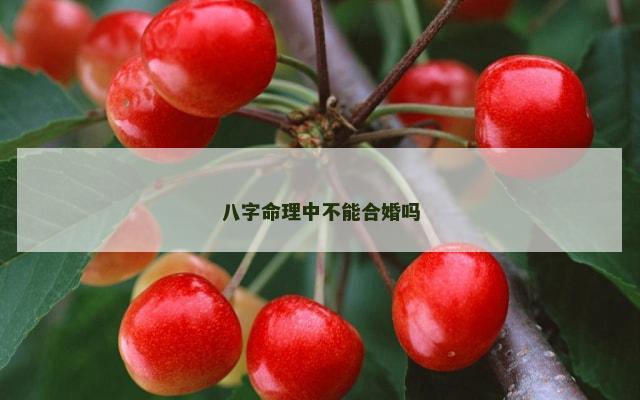 八字命理中不能合婚吗