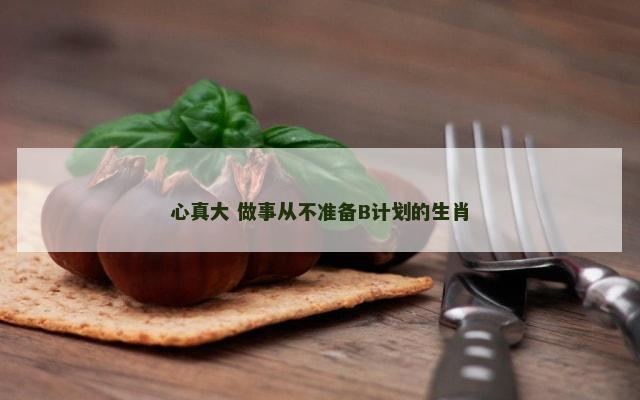 心真大 做事从不准备B计划的生肖