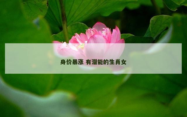 身价暴涨 有潜能的生肖女