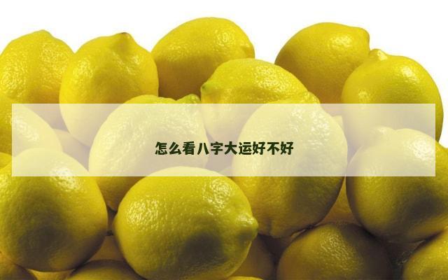 怎么看八字大运好不好