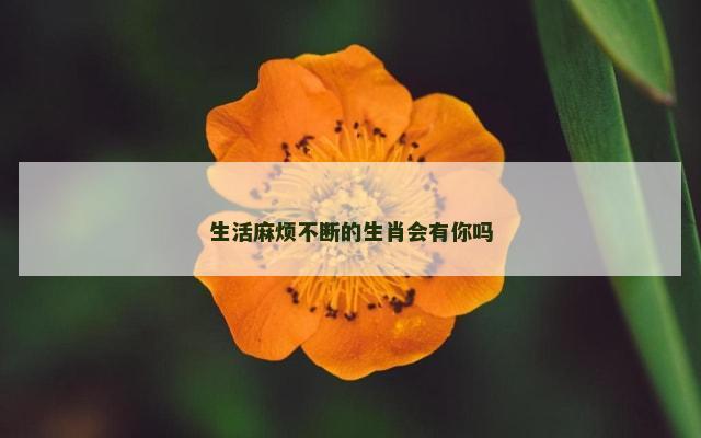 生活麻烦不断的生肖会有你吗