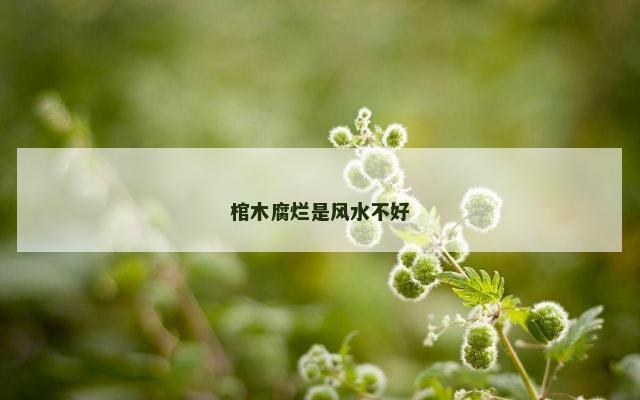 棺木腐烂是风水不好