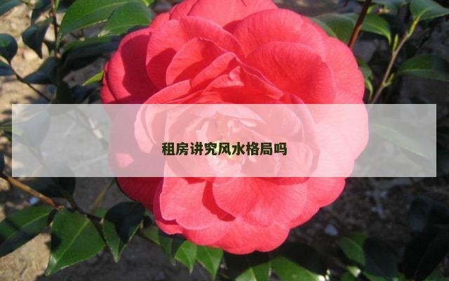 租房讲究风水格局吗