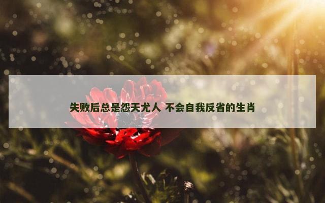 失败后总是怨天尤人 不会自我反省的生肖