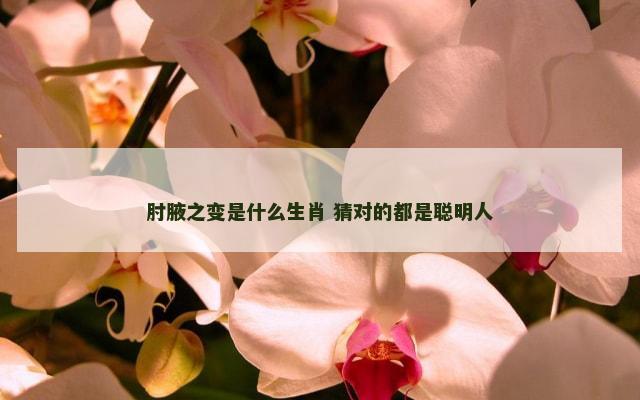 肘腋之变是什么生肖 猜对的都是聪明人