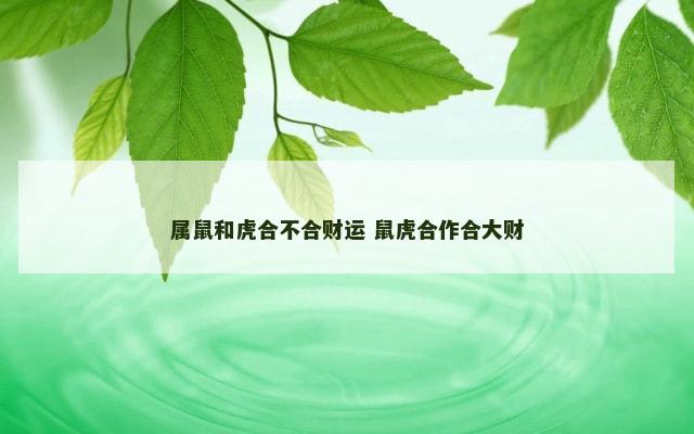 属鼠和虎合不合财运 鼠虎合作合大财