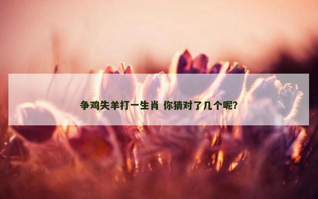 争鸡失羊打一生肖 你猜对了几个呢？