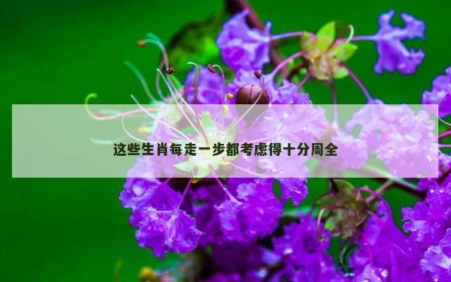 这些生肖每走一步都考虑得十分周全