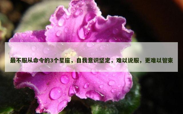 最不服从命令的3个星座，自我意识坚定，难以说服，更难以管束