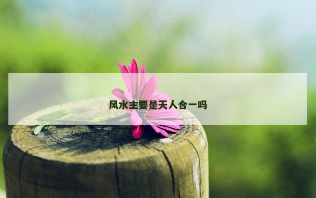 风水主要是天人合一吗