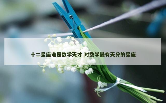 十二星座谁是数学天才 对数学最有天分的星座