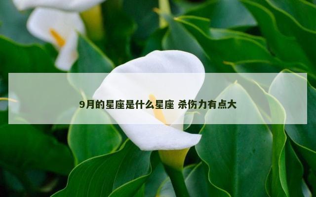 9月的星座是什么星座 杀伤力有点大