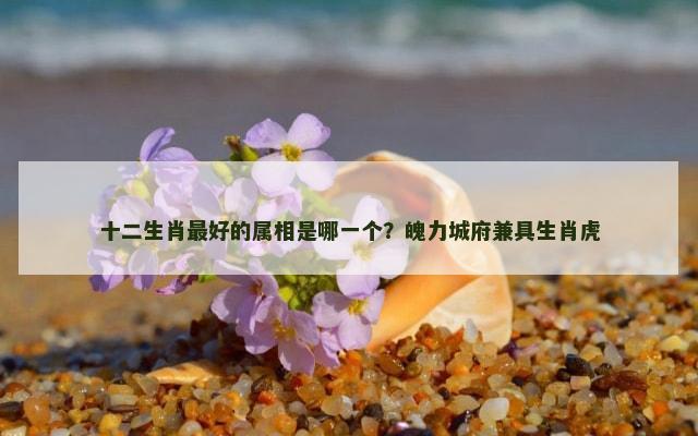 十二生肖最好的属相是哪一个？魄力城府兼具生肖虎