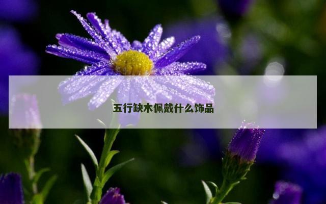 五行缺木佩戴什么饰品