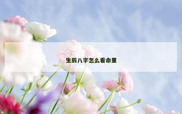 生辰八字怎么看命里
