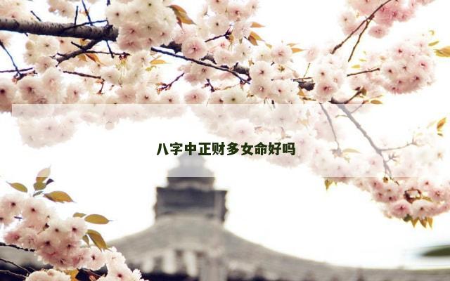 八字中正财多女命好吗