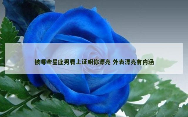 被哪些星座男看上证明你漂亮 外表漂亮有内涵