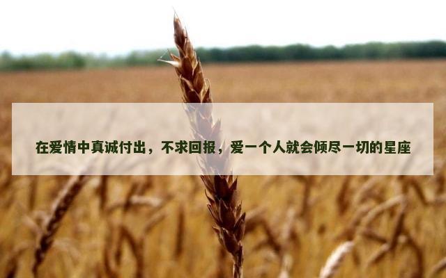 在爱情中真诚付出，不求回报，爱一个人就会倾尽一切的星座