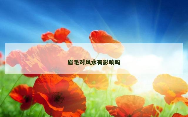眉毛对风水有影响吗