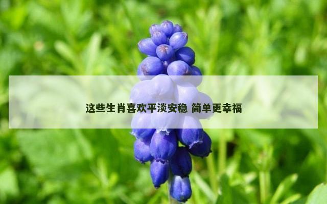 这些生肖喜欢平淡安稳 简单更幸福