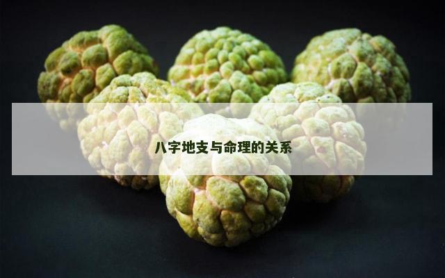 八字地支与命理的关系