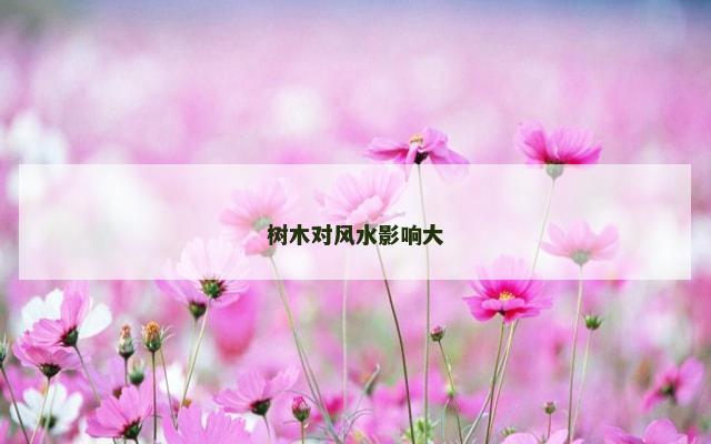 树木对风水影响大