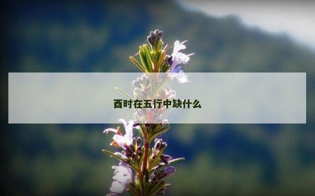 酉时在五行中缺什么
