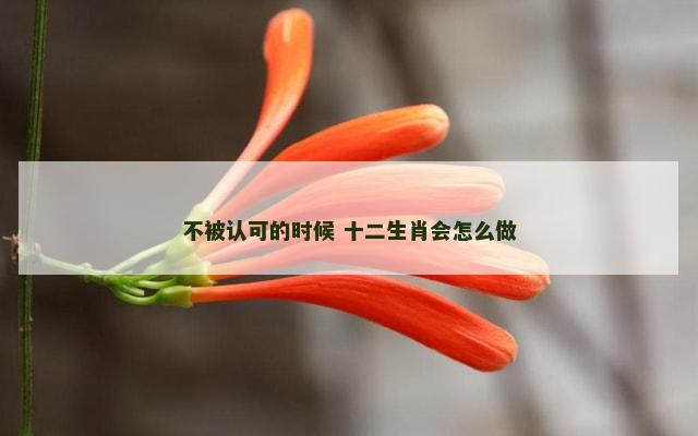 不被认可的时候 十二生肖会怎么做