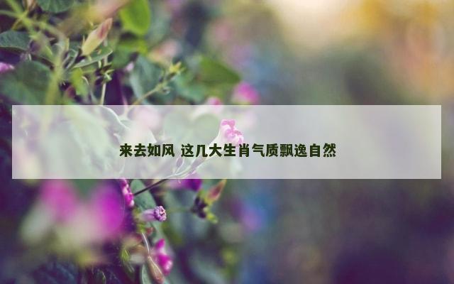 来去如风 这几大生肖气质飘逸自然