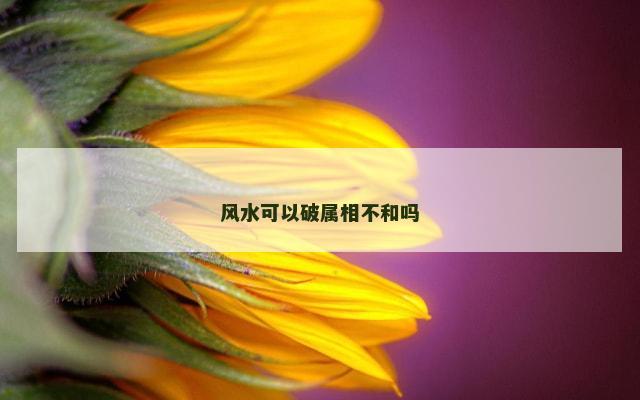 风水可以破属相不和吗