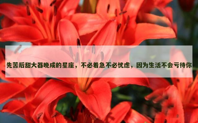 先苦后甜大器晚成的星座，不必着急不必忧虑，因为生活不会亏待你