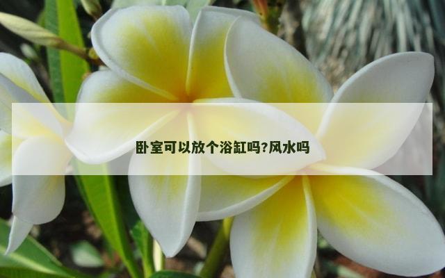 卧室可以放个浴缸吗?风水吗